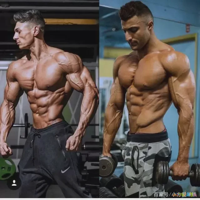 运动期减脂无氧还是有氧_减脂期间无氧运动_减脂期无氧运动