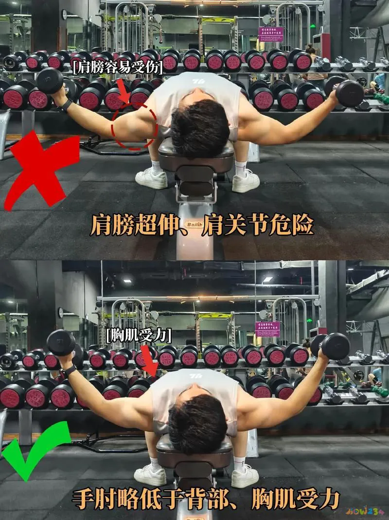 提升胸部的运动_胸部提升运动视频_胸部提升动作