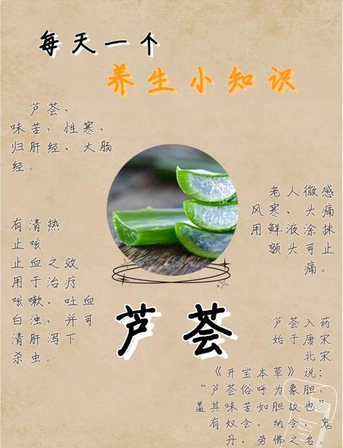 芦荟2025年最新功效,真有护肤、通便奇效吗?