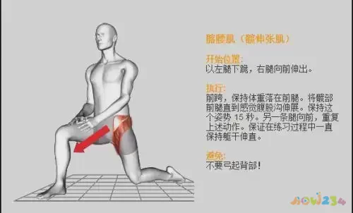 深蹲髋关节受伤_深蹲髋关节运动损伤_深蹲对髋关节骨头有伤害吗