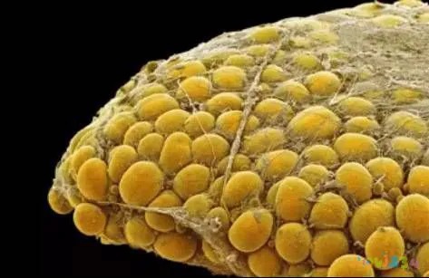 想减肥运动最好时机_运动减肥好难_想要运动减肥