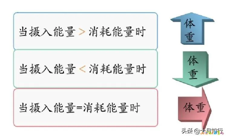 做运动没有瘦_减脂运动不瘦还胖了_运动减肥不但没瘦反而