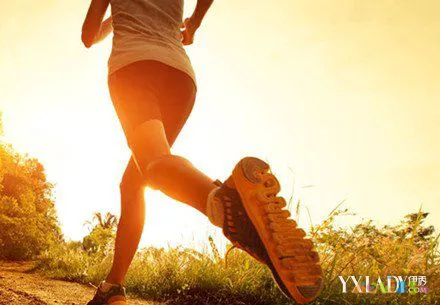 每天减肥能运动只要要喝水吗_减脂运动可以每天都做吗_每天要运动只要能减肥