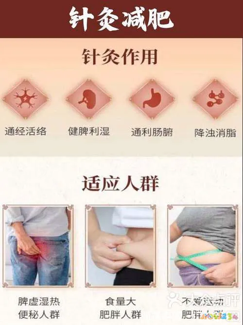 健康减肥食谱加运动_减肥运动健康app_怎么健康运动减肥