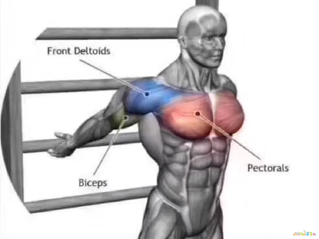 胸部脂肪减运动做什么运动_做什么运动减胸部脂肪_减去胸部脂肪