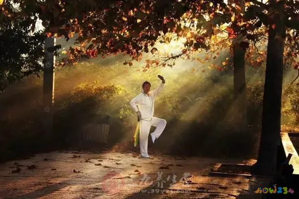 晨练做什么运动减肥_减肥运动做晨练有用吗_晨练减肥