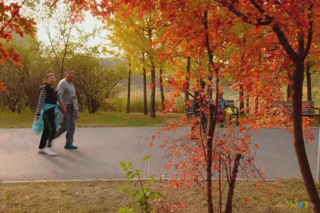 减肥操运动app_减肥操能运动出汗吗_能减肥的运动操