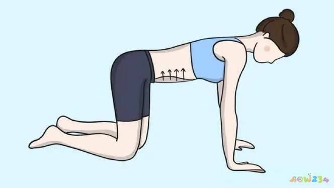 运动减肚子瑜伽_肚子瑜伽怎么做_瑜伽减肚子动作