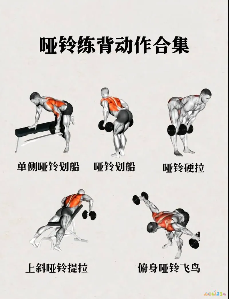 手臂多久锻炼一次_减手臂运动多长_手臂要多长