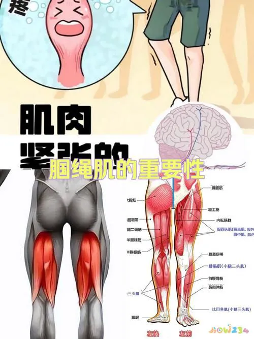 运动造成的膝盖疼_膝盖疼运动造成的疼痛_运动膝盖疼还能运动吗