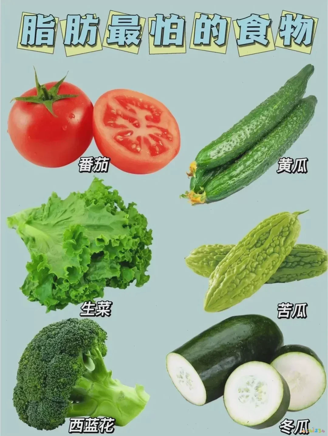 减肥无氧运动_运动期减脂无氧可以吗_减脂期无氧运动