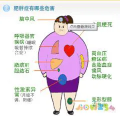 肥胖运动适合跑步吗_肥胖适合那些运动_肥胖人士适合什么运动