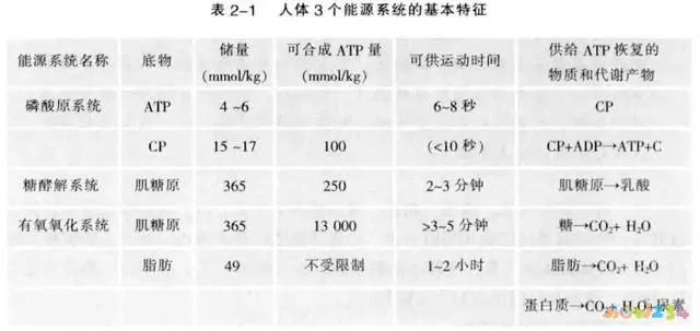 有氧运动 停止后还能 消耗脂肪_脂肪消耗后变成什么_脂肪消耗是在运动中还是运动后