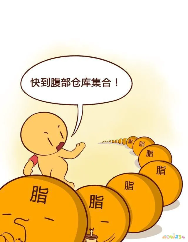 大腿脂肪消耗运动能量吗_怎样运动消耗大腿脂肪_大腿脂肪消耗运动能减掉吗