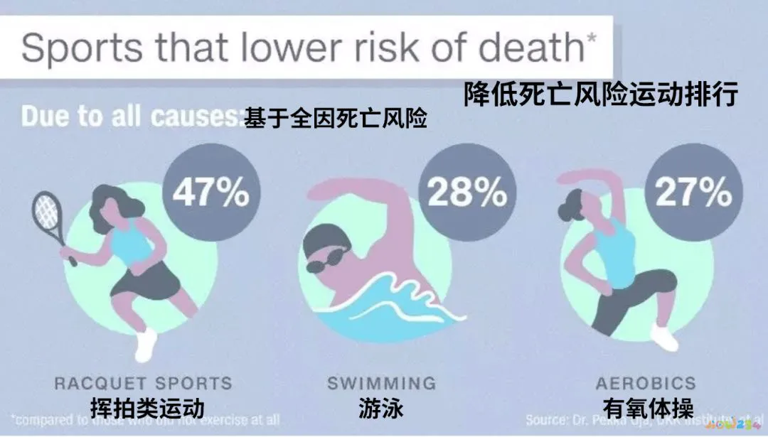 什么是运动脉搏_脉搏运动是多少次每分钟_脉搏跳是什么运动