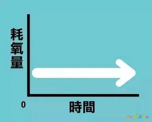脂肪消耗是在运动中还是运动后_有氧运动 停止后还能 消耗脂肪_脂肪消耗后变成什么