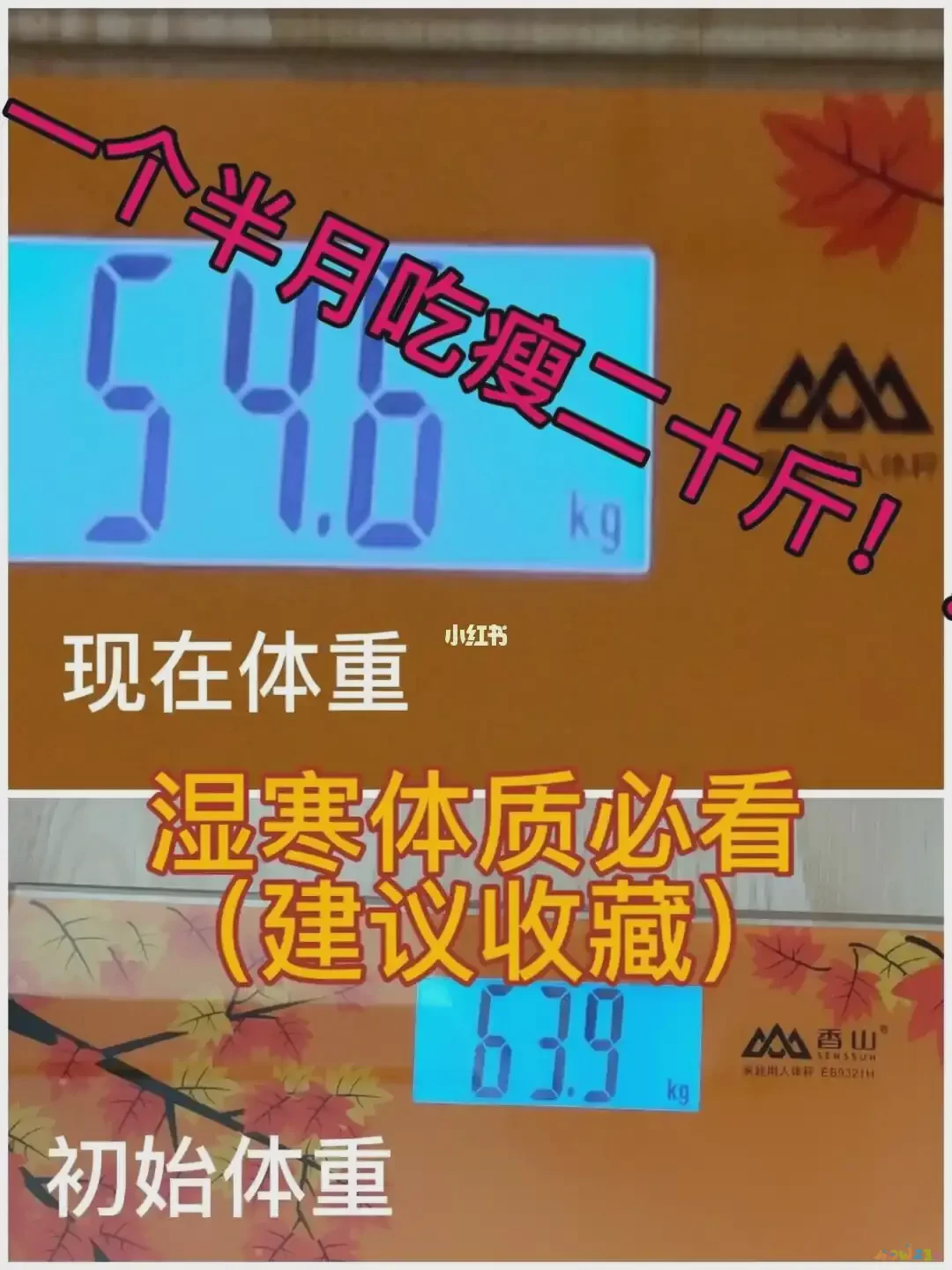 减肥运动前吃饭还是运动后吃饭_减肥运动后多久可以喝水_不运动 减肥