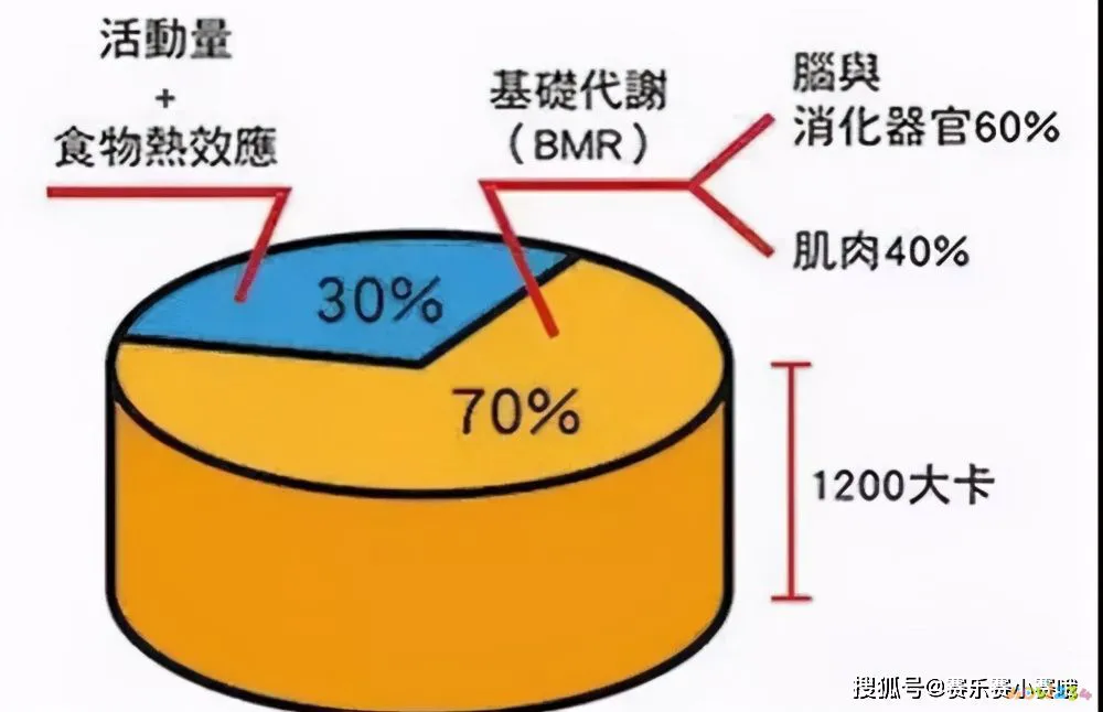 大腿脂肪消耗运动能量吗_怎样运动消耗大腿脂肪_大腿脂肪消耗运动能减掉吗