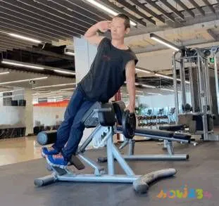 健身房运动机械_健身的机械动作名称大全_健身房机械的使用方法