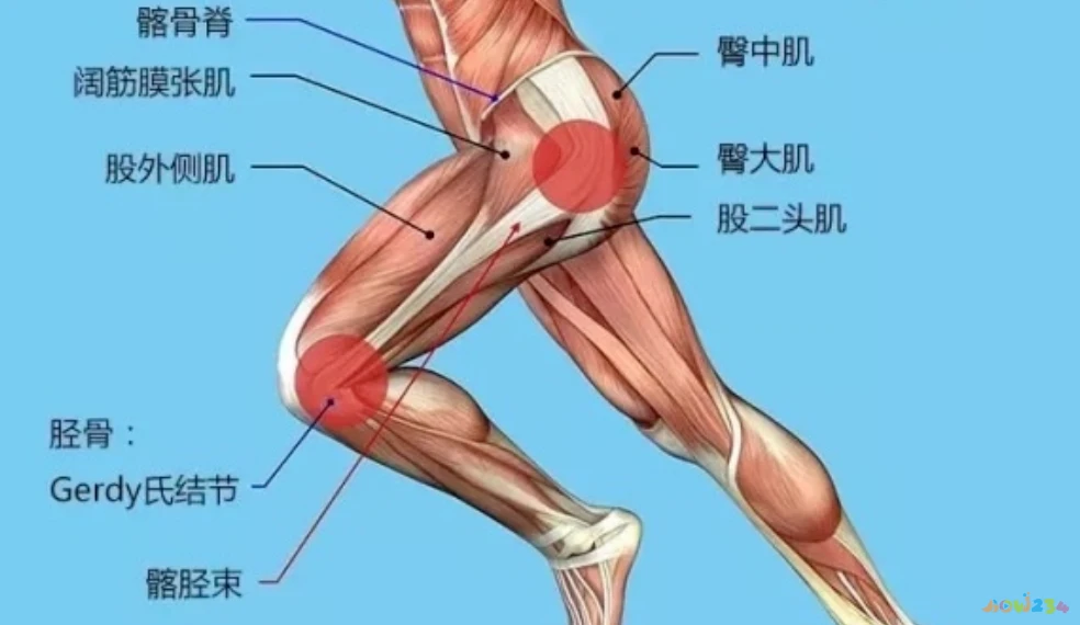 运动导致的膝盖疼痛_膝盖疼痛运动导致疼痛_膝盖疼痛运动导致腿疼