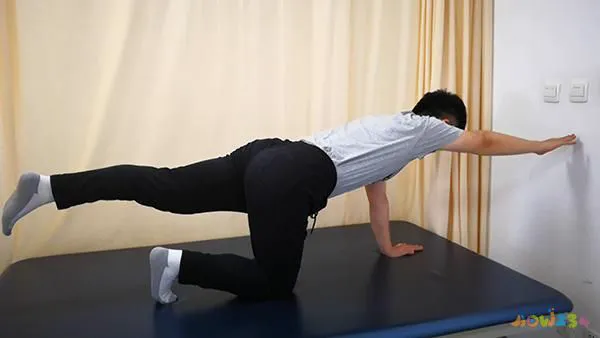 腰部运动有什么_什么运动有助于腰部_腰部助运动有哪些项目