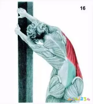 运动拉伸动作图片_拉伸运动图片动作大全_拉伸运动图片动作视频