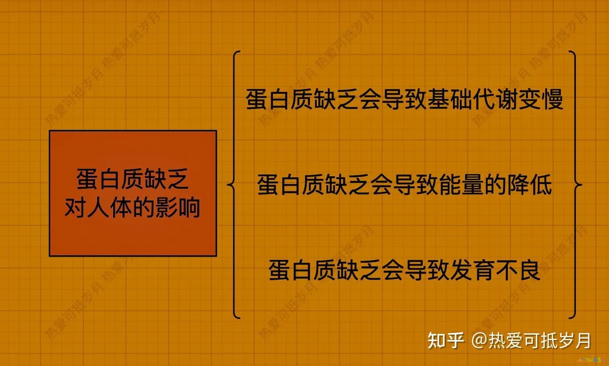 蛋白粉可以运动时喝吗_蛋白单纯能喝粉运动少的奶粉吗_单纯喝蛋白粉运动少 能减脂吗