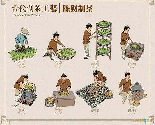 运动减肥便秘不容易瘦_运动减肥便秘_运动减肥便秘会长胖吗