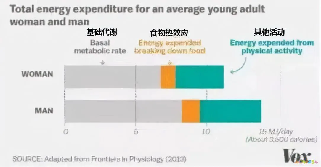 运动代谢率高好还是低好_代谢与运动_运动代谢怎么算