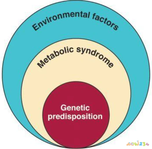 想减肚子和腰做什么运动_腰腹减肥运动_减腰和肚子的运动