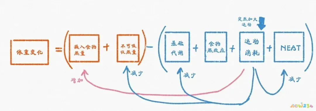 减脂运动不瘦还胖了_运动减肥不但没瘦反而_运动减肥没有瘦