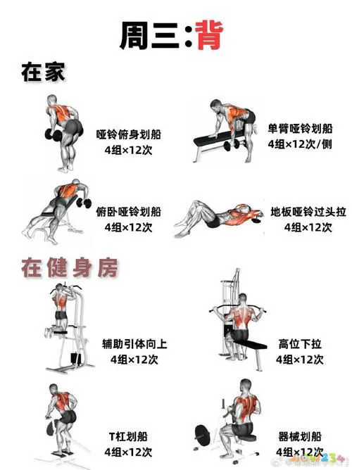 运动周总结_运动周的活动_一周运动几天最好
