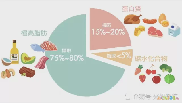 水里减肥动作_减肥运动水下运动区别_水下运动减肥