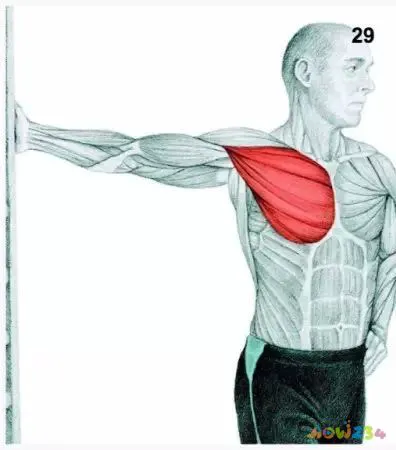 运动拉伸动作图片_拉伸运动图片动作视频_拉伸运动图片动作大全