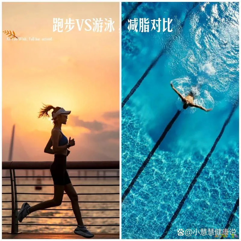 减肥最快运动_减肥运动快速燃脂_减肥运动的最佳时间