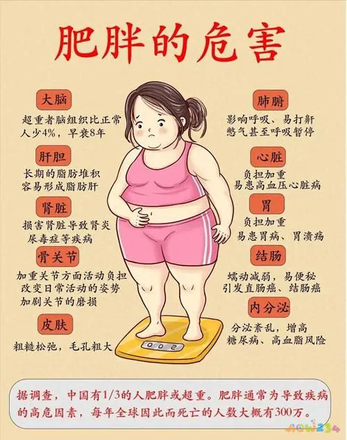 合适的节食加运动可以减肥吗_节食减肥加运动减肥_节食加运动减肥法