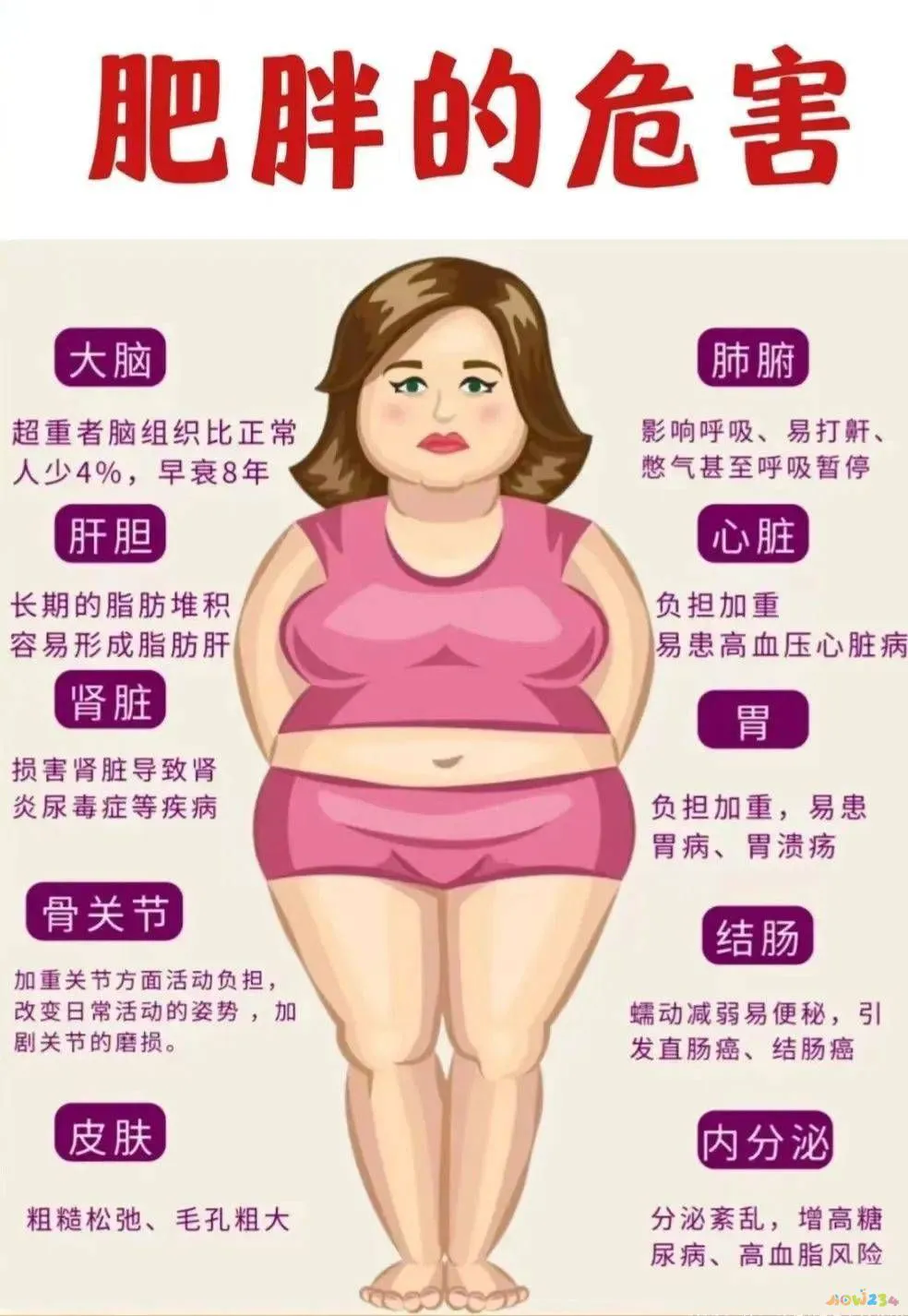 muses02运放音质好吗_西西弗书店主管级_运动减肥时身体变紧