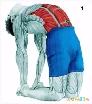 拉伸运动图片动作视频_拉伸运动图片动作大全_运动拉伸动作图片