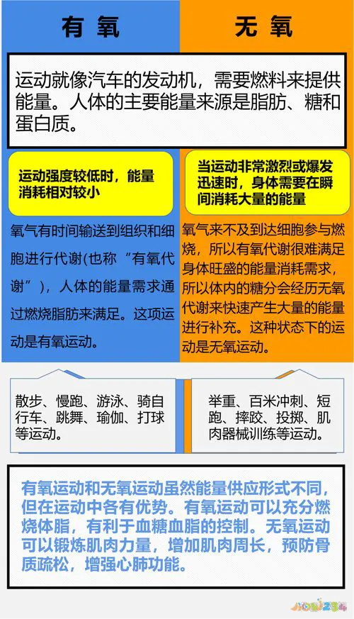 减脂运动会_运动减肥也会反弹_反弹减肥运动会掉肌肉吗