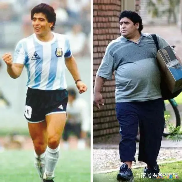 减肥员运动发福怎么办_减肥员运动发福的说说_运动员发福怎么减肥