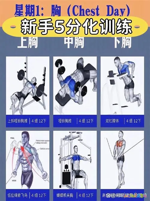 减胸的运动_怎样减胸_减胸经验