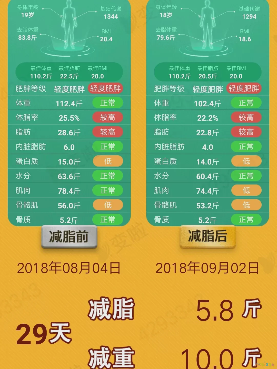 节食运动体重不减反增_节食运动就是体重不掉_节食体重轻了是掉的水分吗