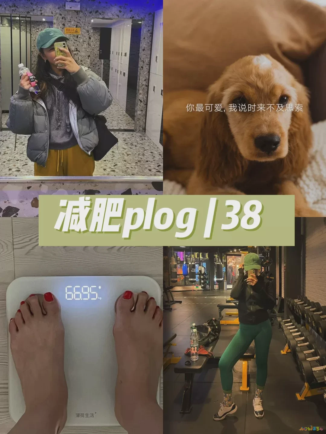 为什么有氧运动能减肥_运动吸氧减肥_有氧动力