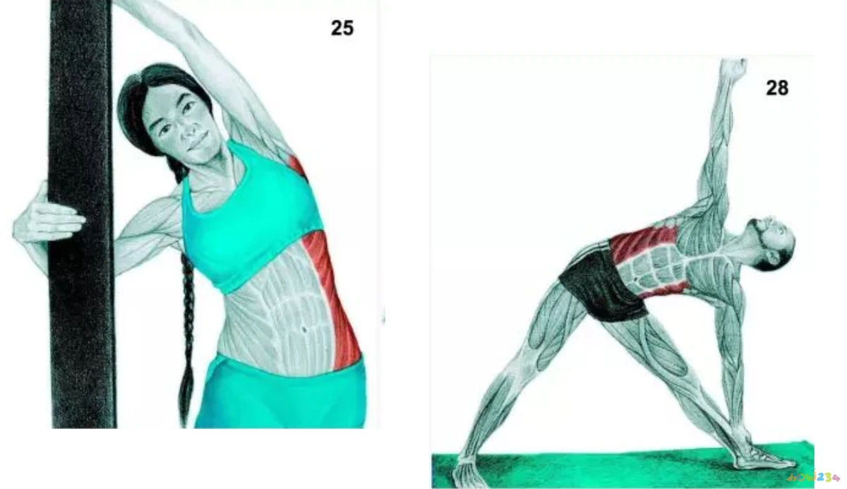 拉伸运动_拉伸运动视频教程_拉伸运动长高正确做法