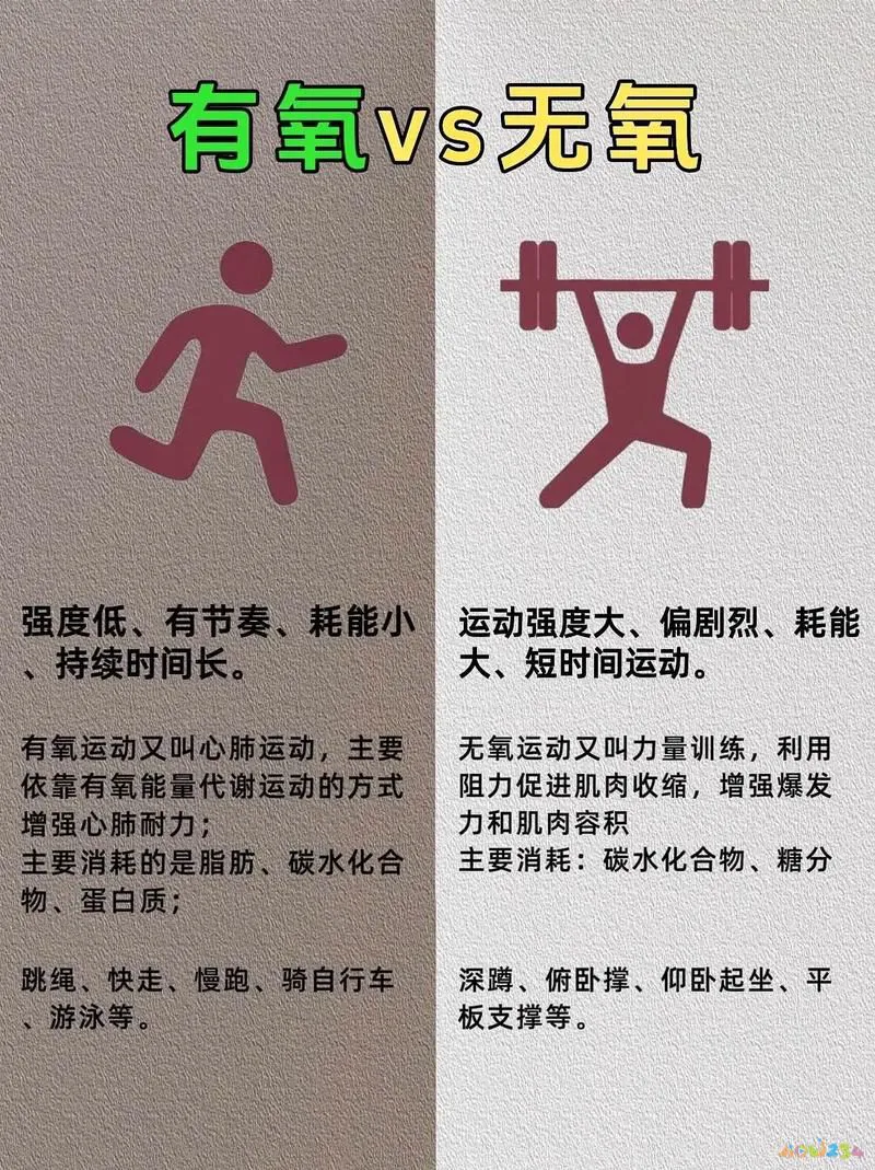 有氧对肌肉的消耗_肌肉耗氧量占全身耗氧量_有氧运动10个小时能消耗肌肉吗