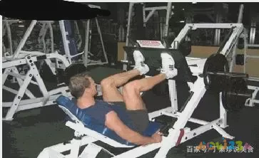 自慰夹腿运动大腿内侧肌肉酸_大腿内侧夹东西能减肥吗_大腿内夹锻炼哪里