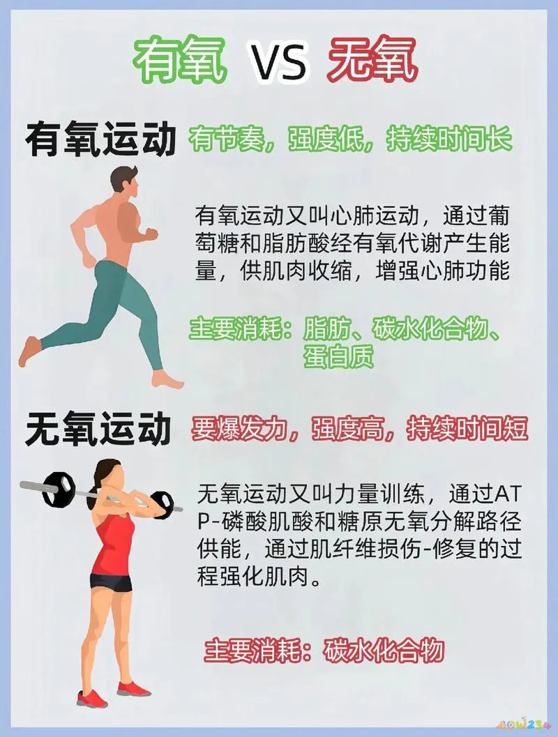 减脂运动无氧_减肥运动无氧还是有氧_无氧运动减肥的