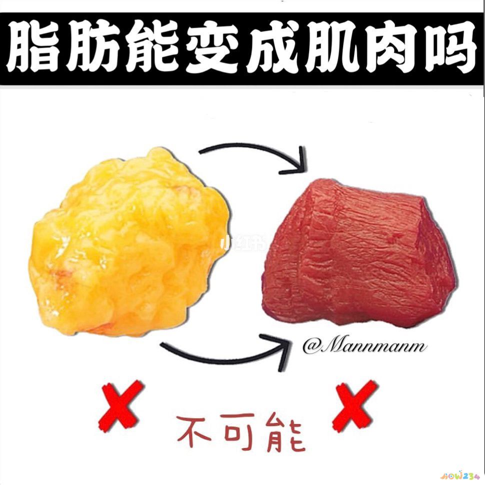 减肥瘦脸能运动嘛_减肥瘦脸运动方法_运动减肥能瘦脸吗