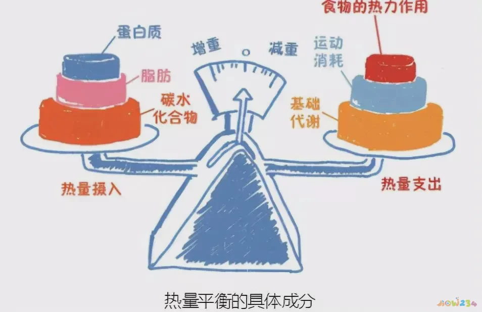 腹肌要做有氧嘛_练腹肌要有氧还是无氧_锻炼腹肌需要有氧运动吗