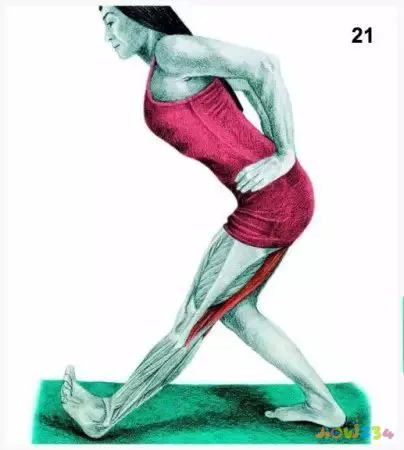 拉伸运动图片动作视频_运动拉伸动作图片_拉伸运动图片动作大全